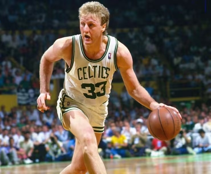 地青少年树 地青少年树